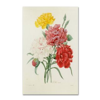 Joseph Redoute Carnations from Choix Canvas Art   17544729