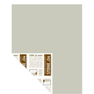 YOLO Colorhouse 12 in. x 16 in. Stone .04 Pre Painted Big Chip Sample 221642
