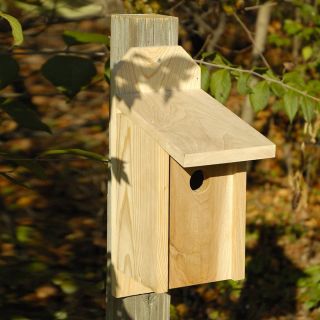 Heartwood 17 in H x 10 in W x 6.5 in D Unfinished Cypress Bird House