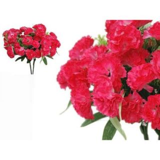 252 Carnation Flowers
