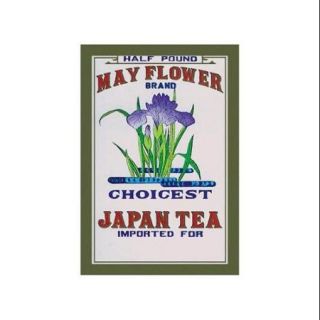 May Flower Brand Tea Print (Black Framed Poster Print 20x30)