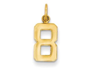 14K Yellow Gold  Casted Small Polished Number 8 Charm