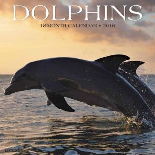 2016 Dolphins Wall Calendar