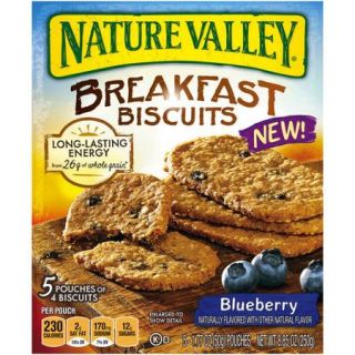 Nature Valley® Blueberry Breakfast Biscuits 20 ct. Box