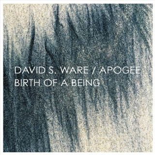 Apogee/Birth of a Being
