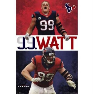Houston Texans   JJ Watt 2013 Poster Print (24 x 36)