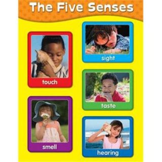 Trend Enterprises CD 114057 Chartlets The Five Senses