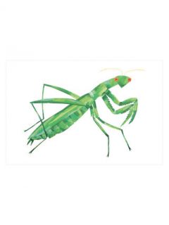 Quiet Cricket Characterart Mantis (Canvas) by Parvez Taj