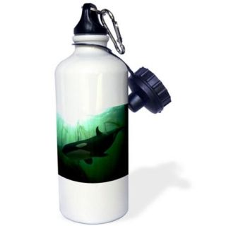3dRose Both the orca and the kelp forrest background were shot underwater in British Columbia, Sports Water Bottle, 21oz