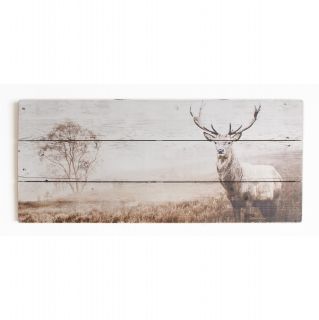 Summer 2015 Stag Photographic Print on Wood by Graham & Brown