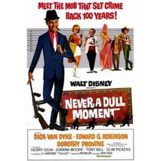 Never a Dull Moment Movie Poster (11 x 17)