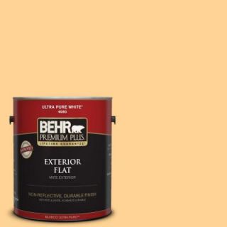 BEHR Premium Plus 1 gal. #300B 4 Sunporch Flat Exterior Paint 440001