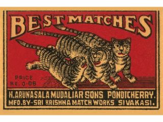 Buy Enlarge 0 587 26016 5P20x30 Three Tiger   Best Matches  Paper Size P20x30