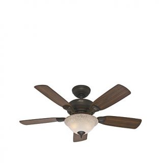 Hunter Fan Caraway 44" 5 Minute Ceiling Fan   7810663