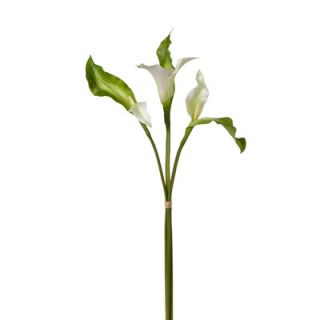 Fleur Mint Julep Calla Lilly Bunch by Sage & Co.