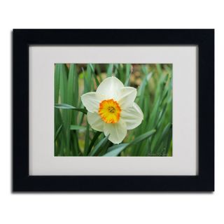 Kathie McCurdy Furnace Run Daffodil Contemporary Framed Matted Art