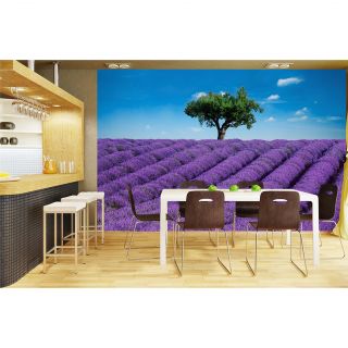 Ideal Decor Provence Wall Mural by Brewster Home Fashions