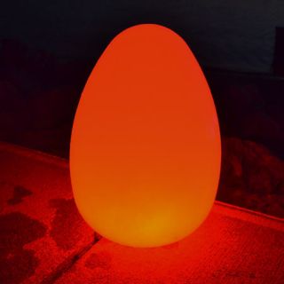 Illuminate Your Life Alpha LED Floating Egg With Remote 782923