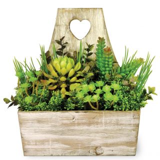 Boston International Succelents and Florals in Wood Pail