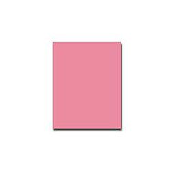 Wausau Heavyweight Exact Index Card Stock 8 12 x 11  90 Lb. Cherry Pack Of 250 Sheets