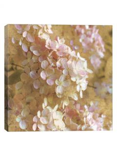 Gilded Hydrangea I by All That Glitters (Canvas) by iCanvas