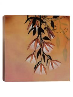 Elaeocarpus Flower by Ivy Jacobsen (Canvas) by iCanvas