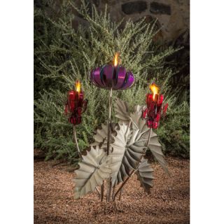 Desert Steel Passion Flower with Three Torches