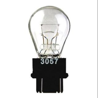 Lumapro 21U647 Miniature Incandescent Bulb S8 7W