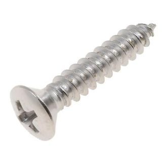 Dorman   Autograde Self Tapping Screw Stainless Steel Oval Phillips Head No. 10 x 1 In. 896 529