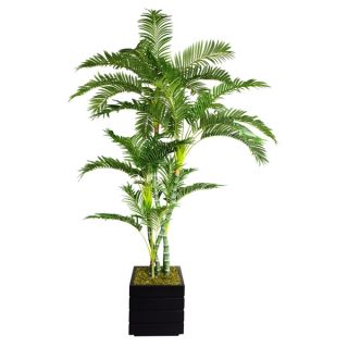 Laura Ashley 78 Tall Palm Tree in 14 Fiberstone Planter  