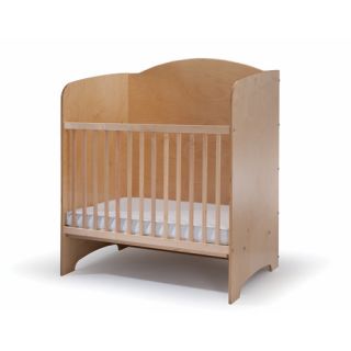 Privacy Infant Convertible Crib with Mattress