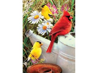 Mini Paint By Number Kit 5"X7" Garden Birds
