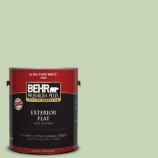 BEHR Premium Plus 1 gal. #M370 3 Spice Garden Flat Exterior Paint 405001